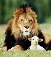 lion and the lamb 2