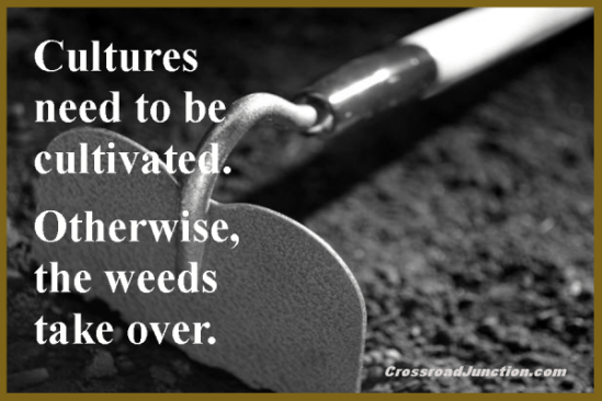Cultures need to be cultivated. Otherwise, the weeds take over.