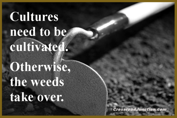 Cultures nee to be cultivated. Otherwise, the weeds take over.