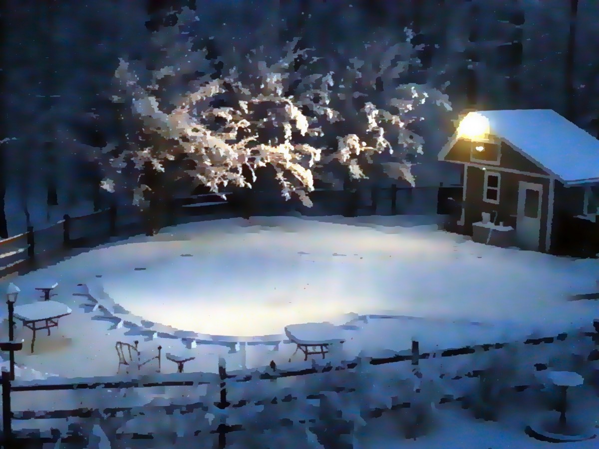 Last night, God blessed us with the beauty of a gentle midnight snow.